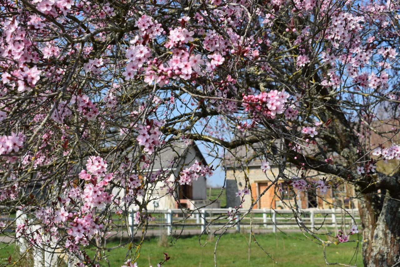 Bed and Breakfast Le Chene D'Or Marcheseuil Exterior foto