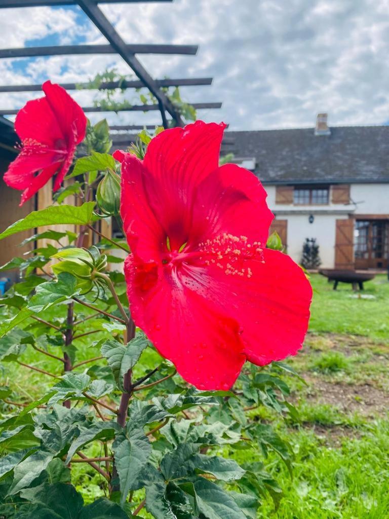 Bed and Breakfast Le Chene D'Or Marcheseuil Exterior foto