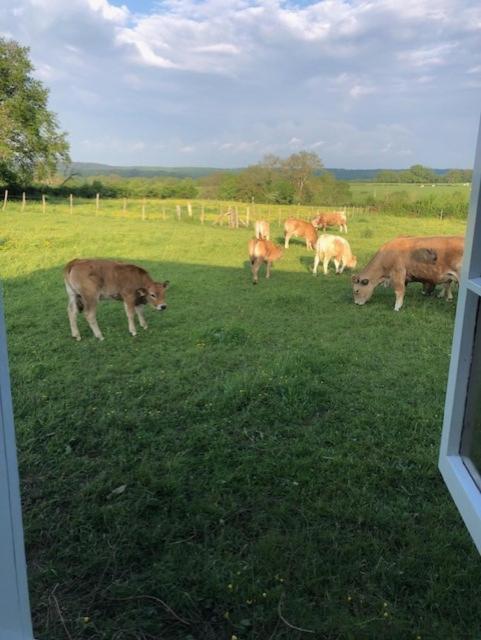 Bed and Breakfast Le Chene D'Or Marcheseuil Exterior foto